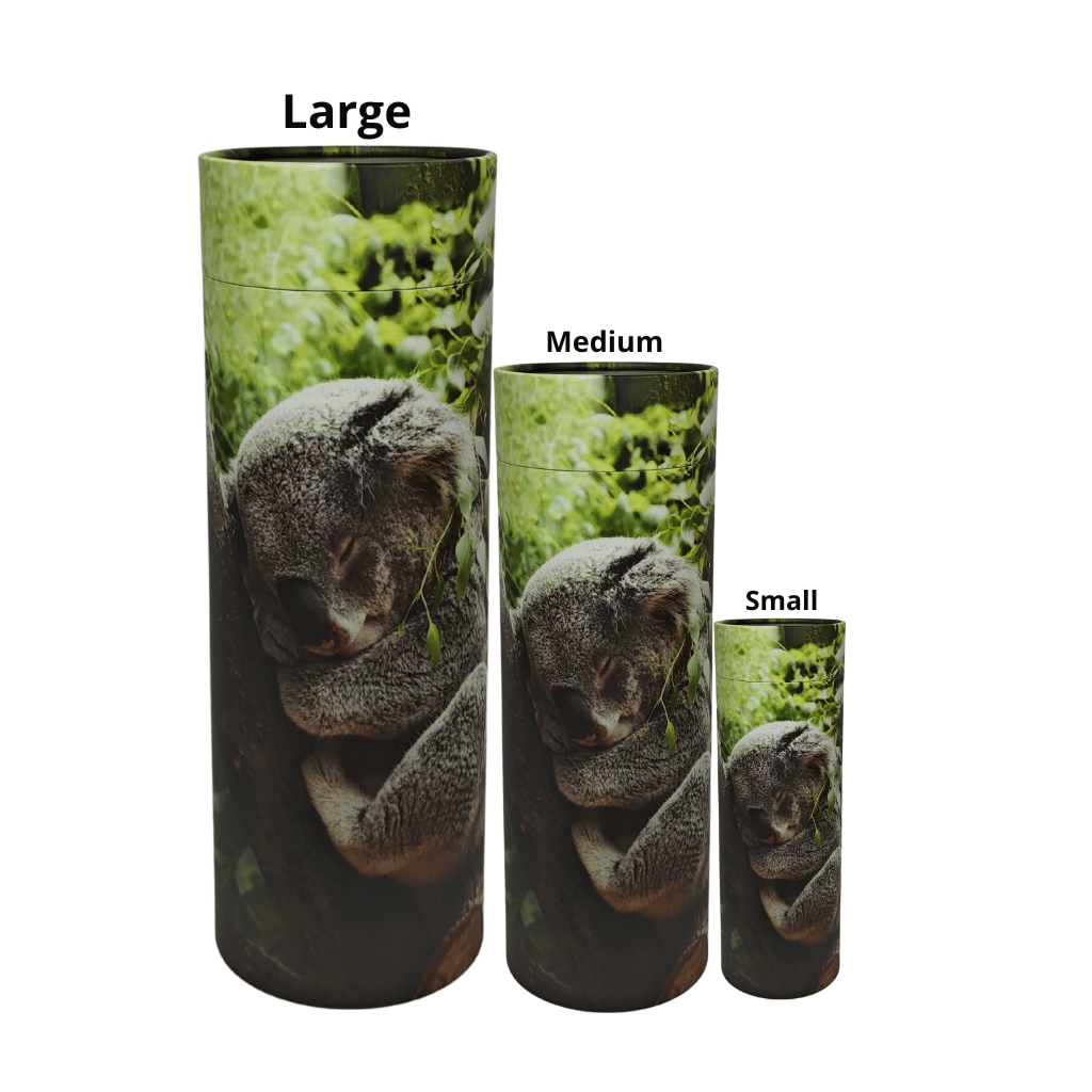 Three Scattering Tube containers with images of koalas on a white background