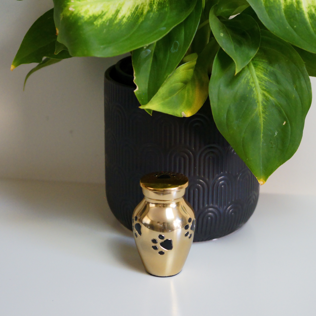 Gold keepsake urn with black etched pawprints in natural setting